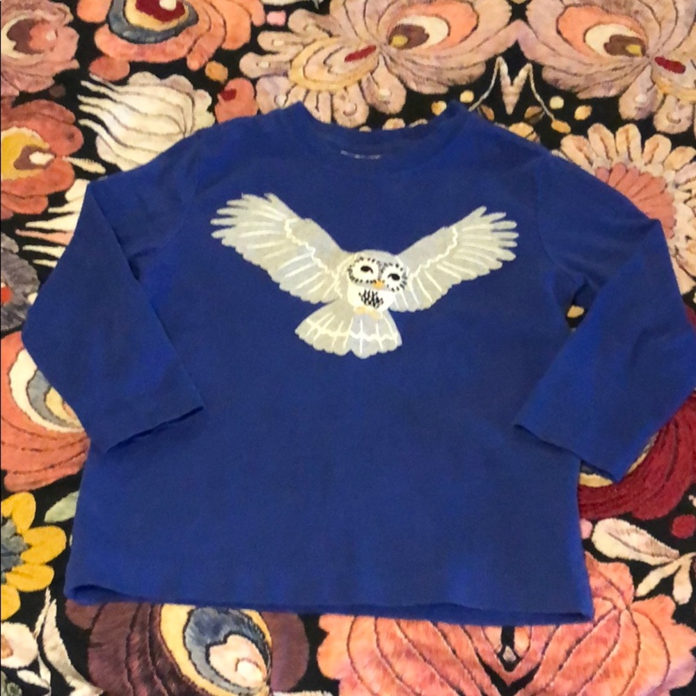 Hanna Anderson blue owl long sleeve tee